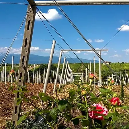 Casa Dell'arciprete Bed and breakfast 3*