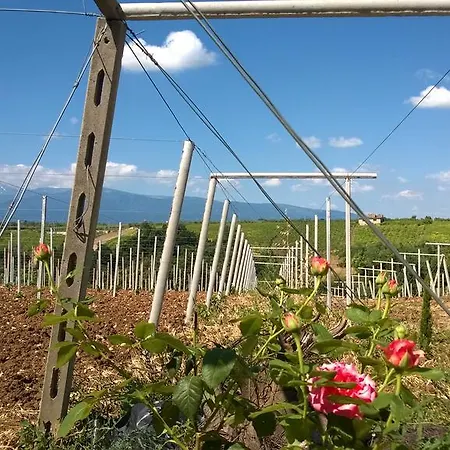 Casa Dell'arciprete Bed & Breakfast 3*