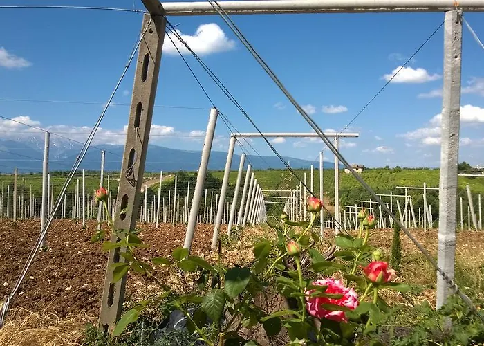 Casa Dell'arciprete Отель типа 